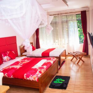 Twin Standard Room
