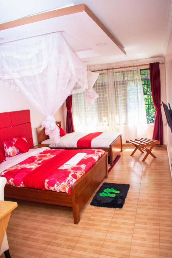 Double Standard Room